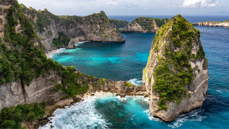 Bali Single Origin Coffee: What Makes Kintamani Different